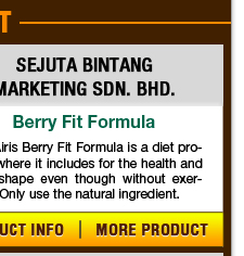 sejuta bintang marketing sdn. bhd