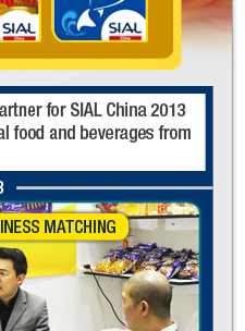 b2b halal business matching